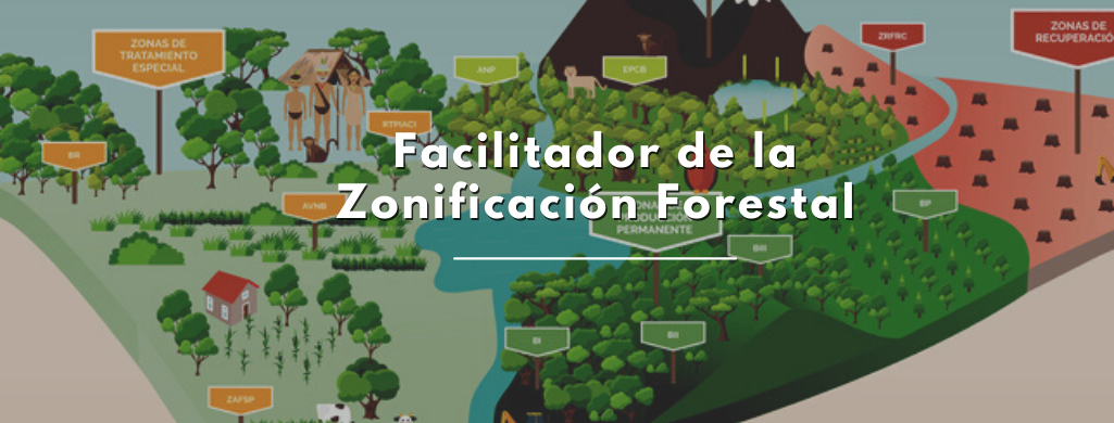 Facilitador de la zonificación forestal