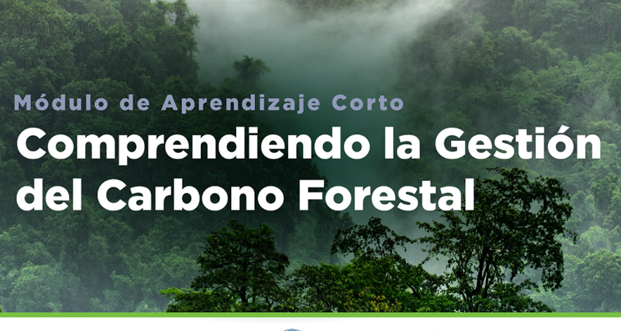 Gestión del Carbono Forestal