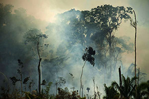 Prevención y Respuesta de Incendios Forestales
