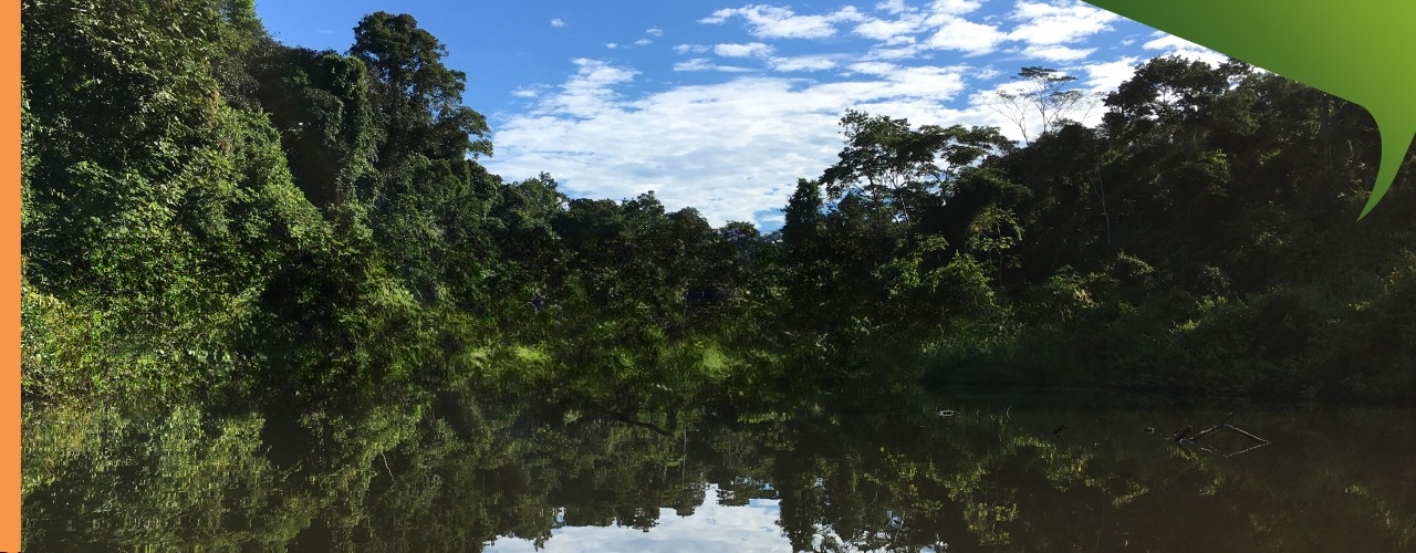 Periodismo y comunicación sobre delitos ambientales y personas defensoras ambientales en la Amazonía peruana