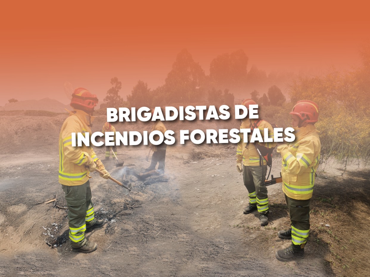 Brigadistas de Incendios Forestales 2025