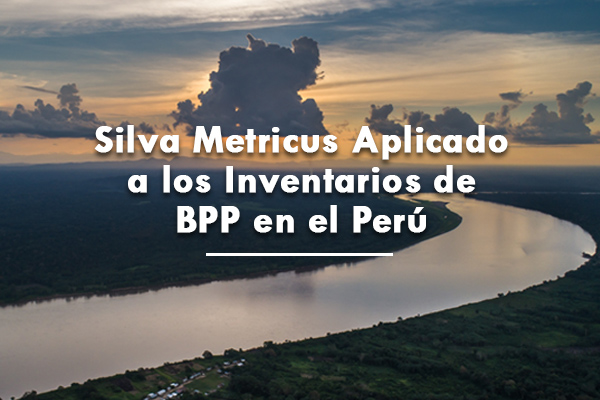 Silva Metricus aplicado a los inventarios de BPP en el Perú
