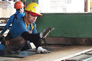 Libro de operaciones para Centros de Transformación Primaria