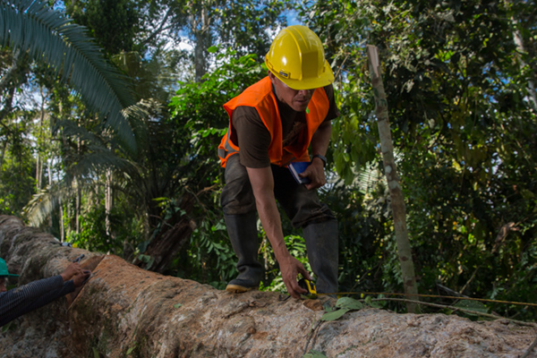 FORESTAL Y FAUNA SILVESTRE
