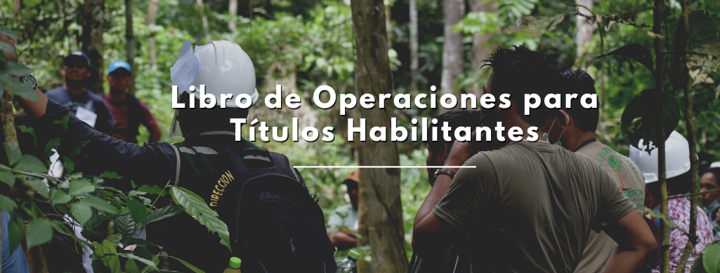 Libro de Operaciones para Títulos Habilitantes - 2022