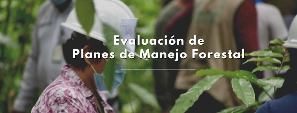Evaluación de Planes de Manejo Forestal