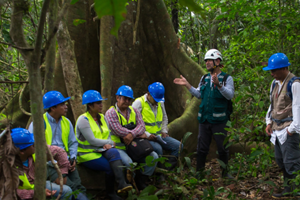 FORMACIÓN Y CAPACITACIÓN