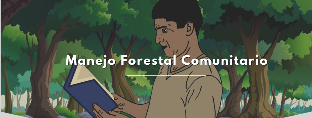 Manejo Forestal Comunitario