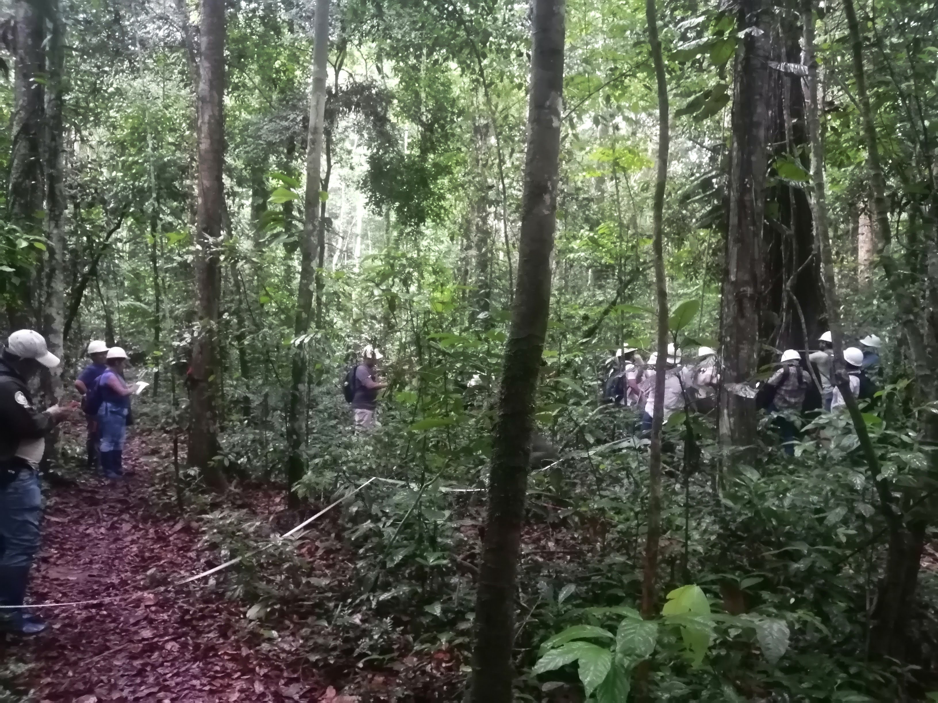 Taller virtual de asistencia técnica para la implementación del protocolo de capacitación y asistencia técnica del SERFOR y el registro de información en el aplicativo informático SISCATE