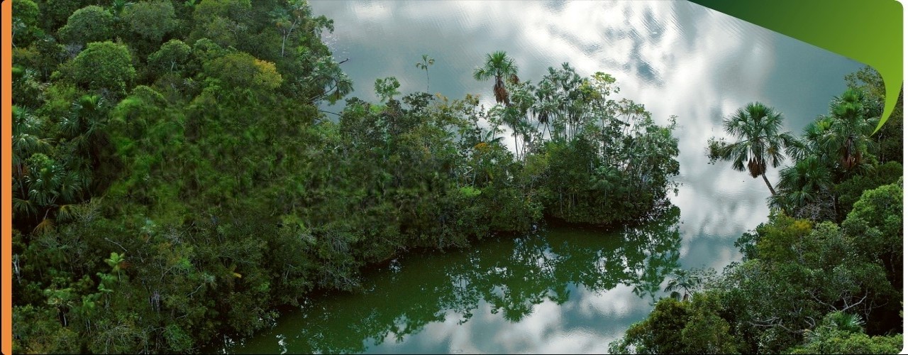Delitos Ambientales con enfoque de género e interculturalidad 2024