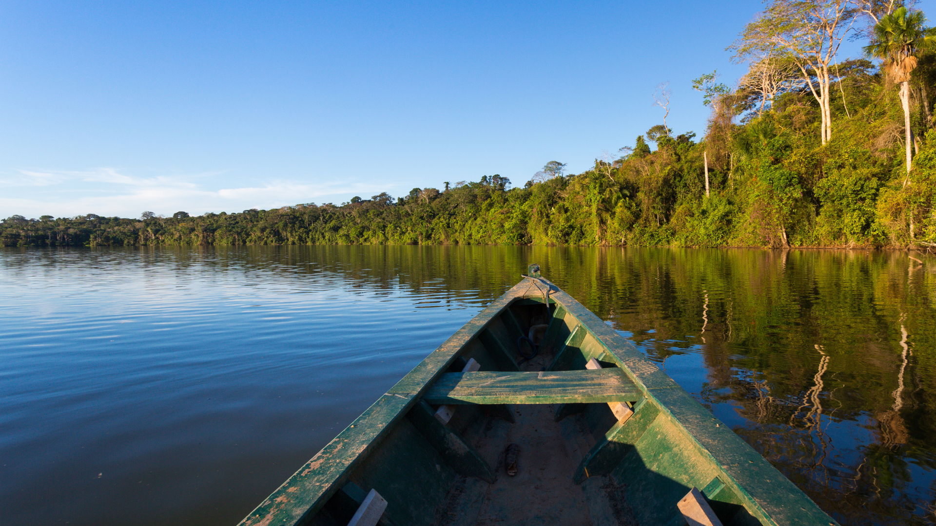 Legislación Forestal y de Fauna Silvestre 2025