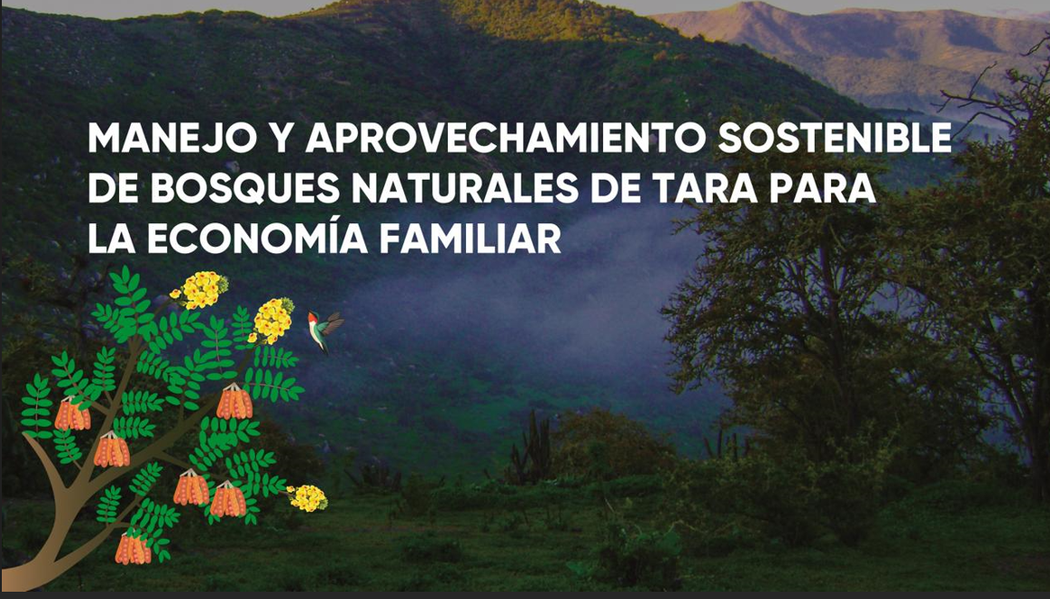 MANEJO Y SOSTENIBILIDAD DE BOSQUES DE TARA