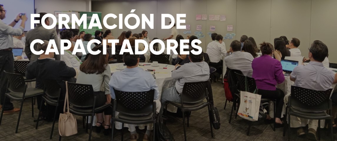 FORMACIÓN DE CAPACITADORES 2025