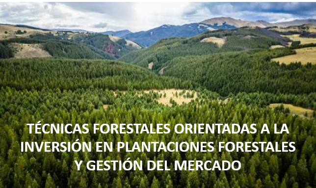 TÉCNICAS FORESTALES ORIENTADAS A LA INVERSIÓN EN PLANTACIONES FORESTALES Y GESTIÓN DEL MERCADO