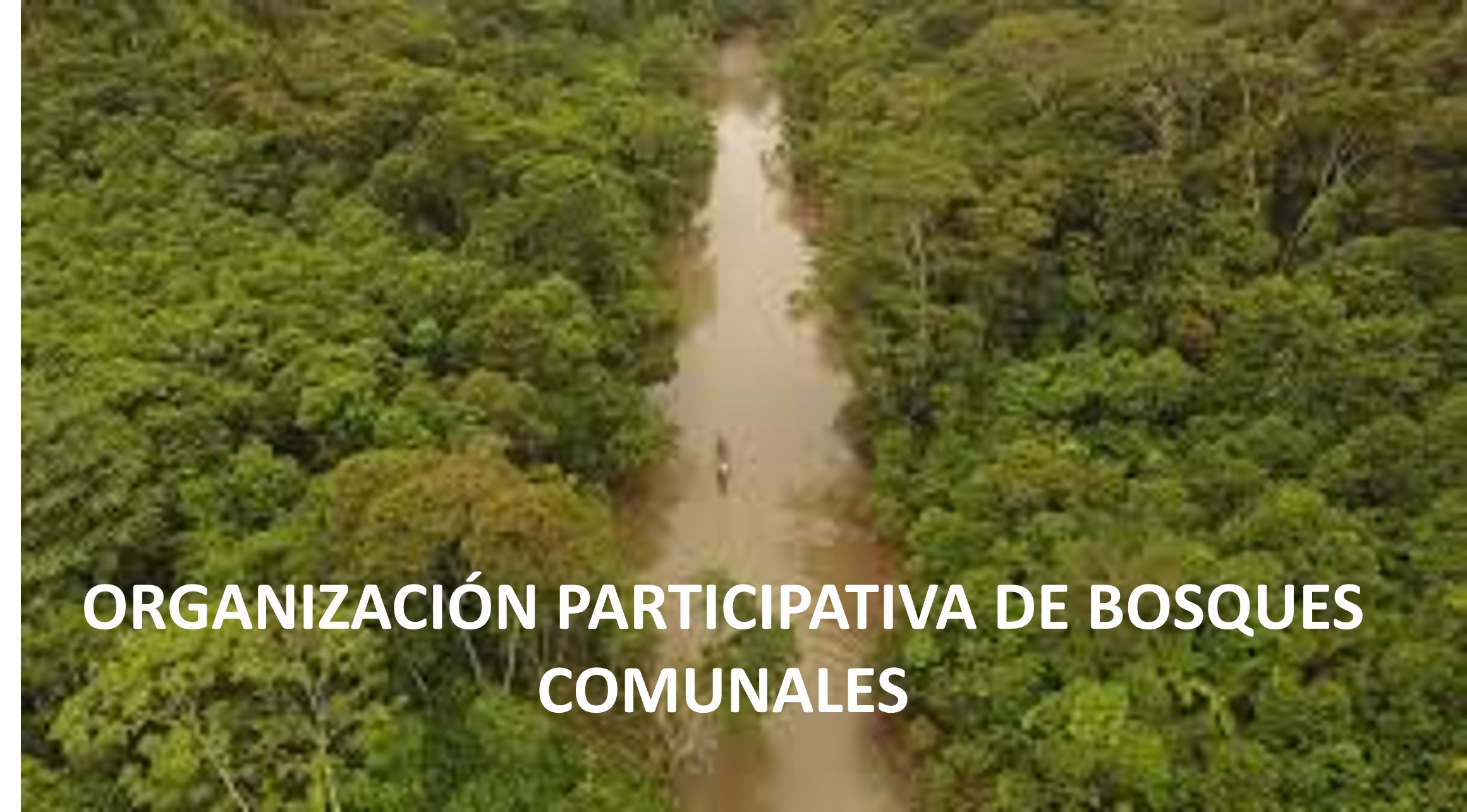 ORGANIZACIÓN PARTICIPATIVA DE BOSQUES COMUNALES