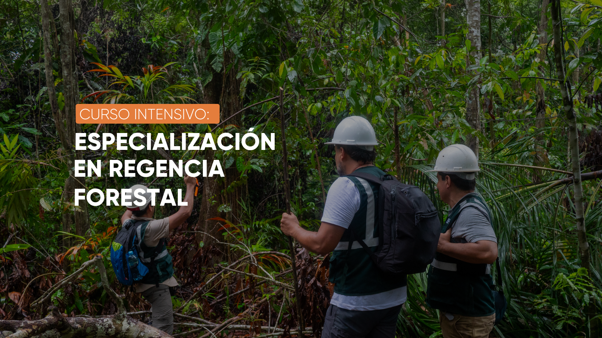 ESPECIALIZACIÓN EN REGENCIA FORESTAL