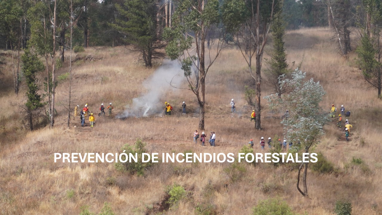 PREVENCIÓN DE INCENDIOS FORESTALES 2026