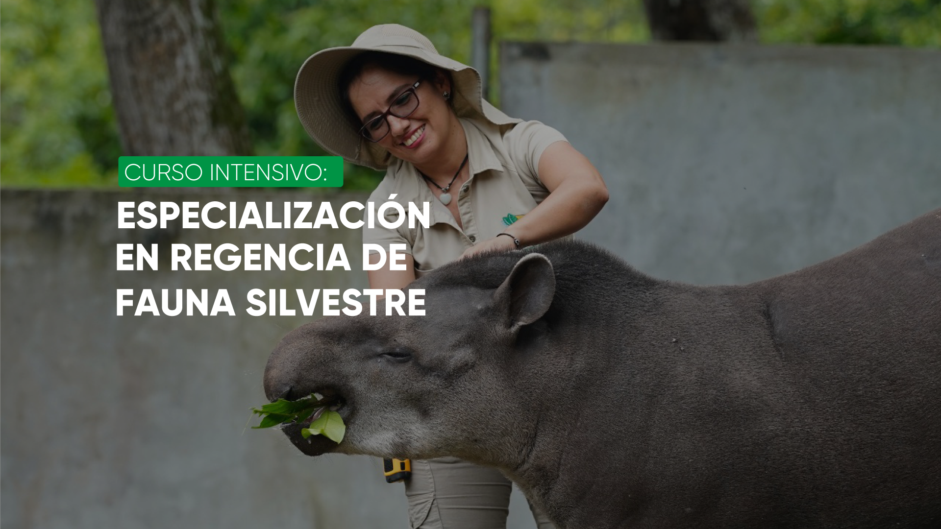 CURSO DE ESPECIALIZACIÓN EN REGENCIA DE FAUNA SILVESTRE